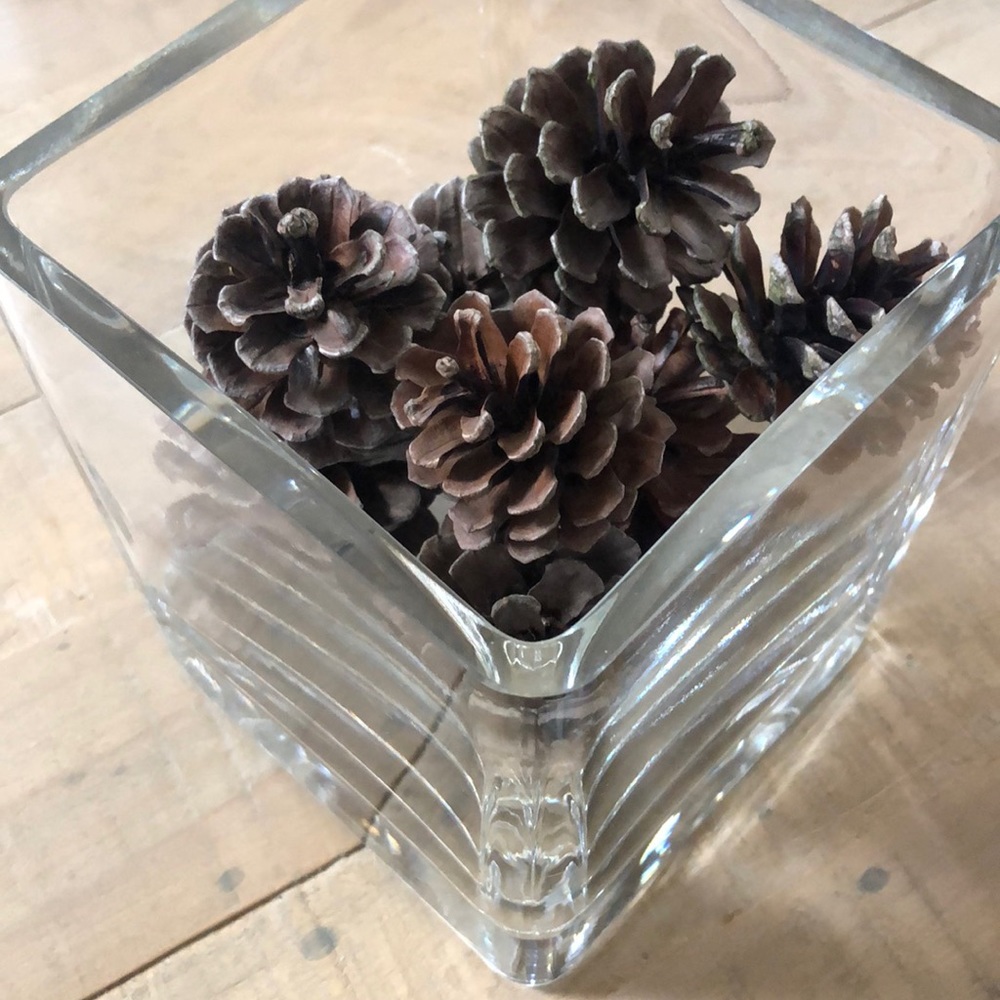 Beautiful Square Heavy Glass Vase with 1 Dozen (12) Northeast Pine Cones 7” Vase - Picture 1 of 8